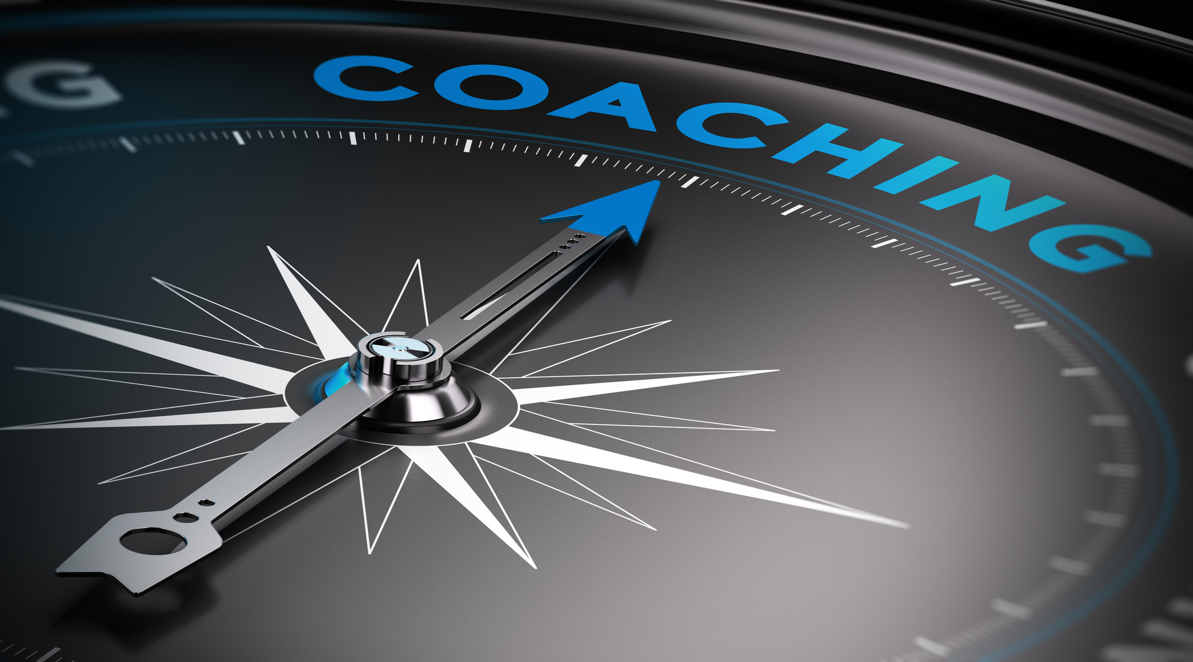Coaching business agroalimentare